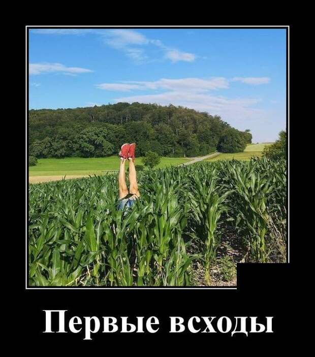 demotivatory-demotivator-smeshnye-demotivatory-demotivator-so-smyslom