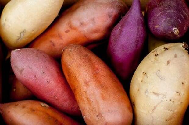 разноцветный картофель