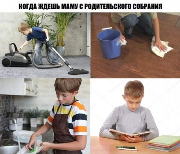Смешные картинки с подписями (20 картинок)