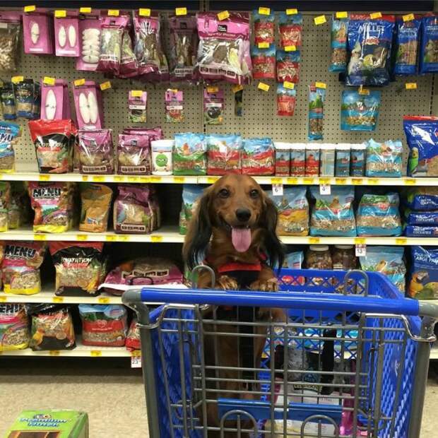 cart10