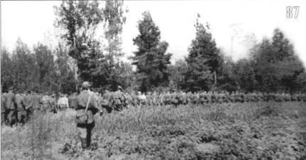 Бойцы войск НКВД конвоируют в тыл пленных, взятых в боях под Ельней. Сентябрь.