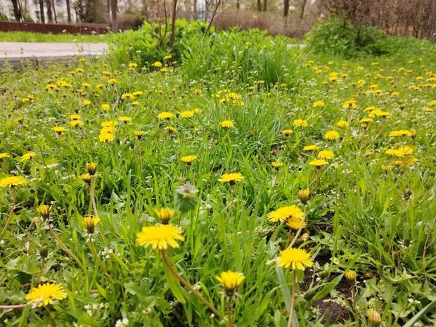 Завтра погода вернет астраханцам весну