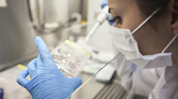 В Петербурге прокомментировали ситуацию с заболеваемостью COVID-19