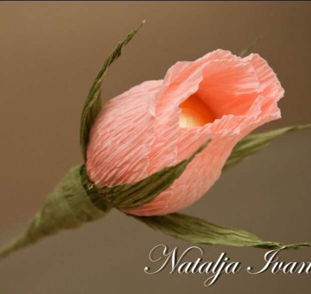 как сделать розу из бумаги с конфетой внутри