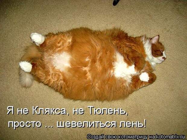 Мысли вслух :)