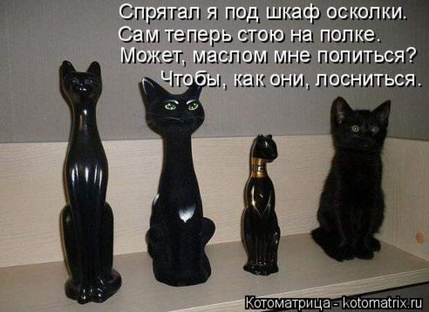 Котоматрица: Сам теперь стою на полке. Может, маслом мне политься?  Чтобы, как они, лосниться.  Спрятал я под шкаф осколки.