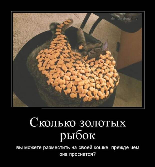 Демотиваторы №1018 (30 фото)