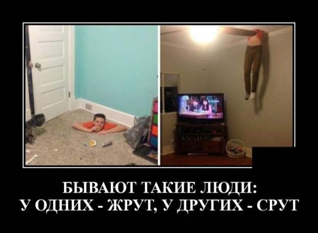 Демотиваторы (20 фото)