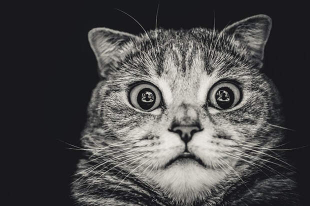 Финалисты AdMe Photo Awards 2014