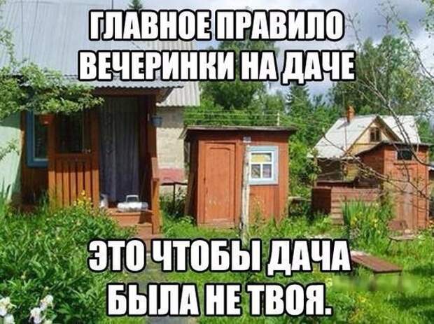 Веселые картинки с надписями до слез (11 фото) Веселые картинки с надписями до слез (11 фото)