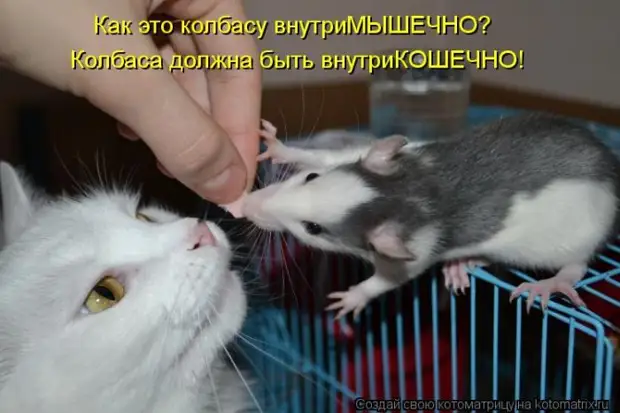 Мысли вслух :) 23 пушистые мыслишки