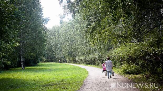 За парки и скверы уже проголосовали 71 тысяча екатеринбуржцев