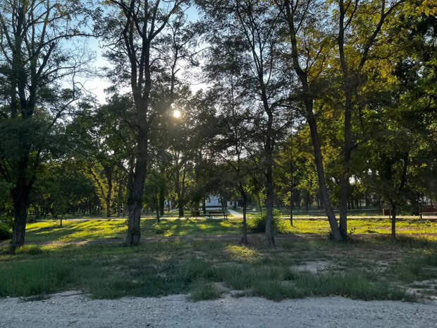 Лето-2026 перевернёт представление о погоде: синоптики дали тревожный прогноз для всех регионов России