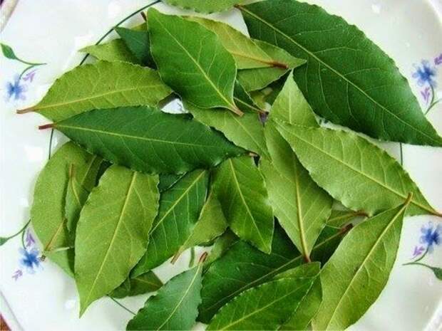 10419437_511798325588932_5200453548532327968_n