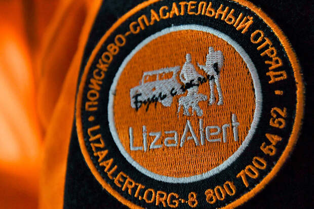 В Тульской области пропала 7-летняя девочка, волонтеры приступили к поиску