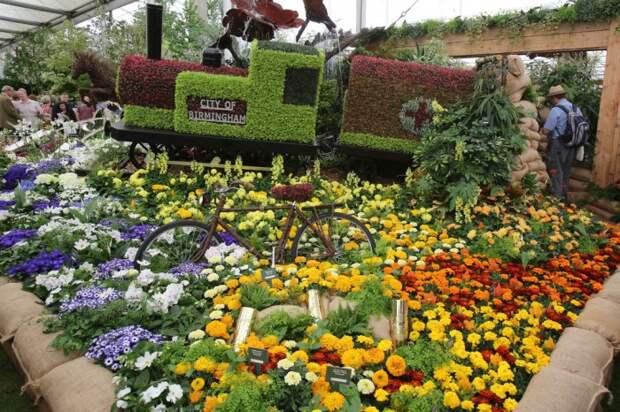 Выставка цветов «Chelsea Flower Show 2014»