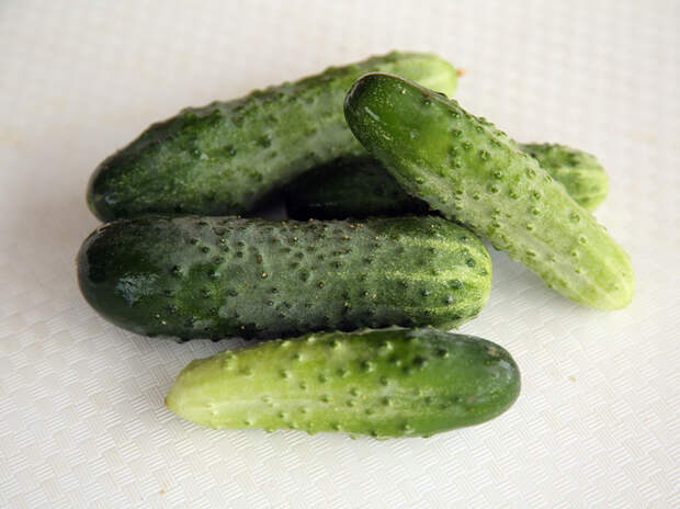 Огурцы подешевели сильнее остальных: Росстат зафиксировал снижение цен на овощи