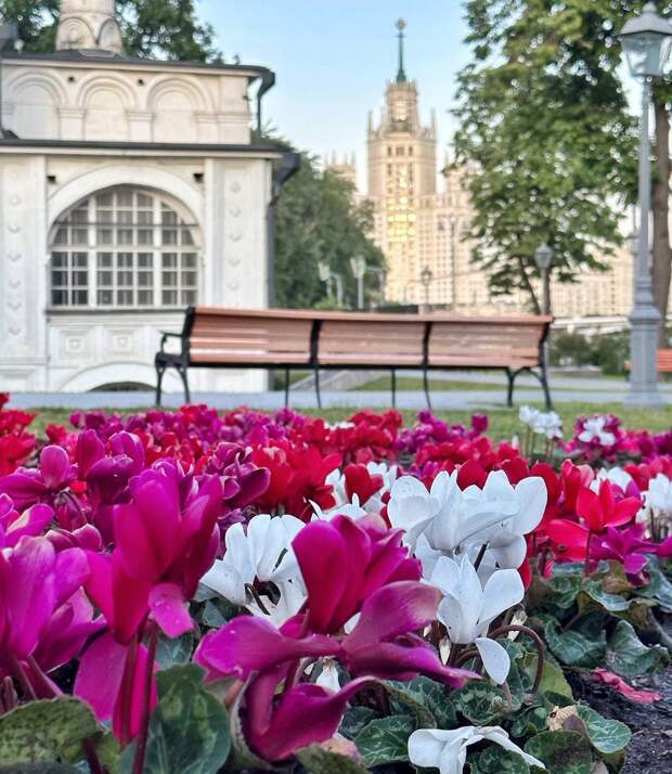 Лето красное пришло