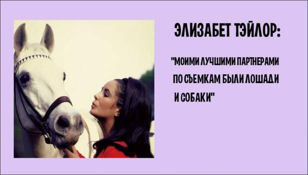 Колкости от знаменитостей Колкости от знаменитостей Колкость, знаменисти