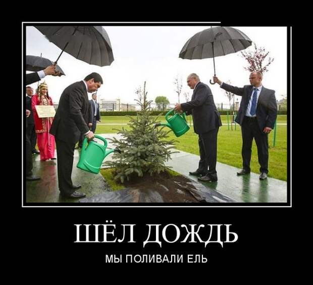 Демотиваторы (30 фото)