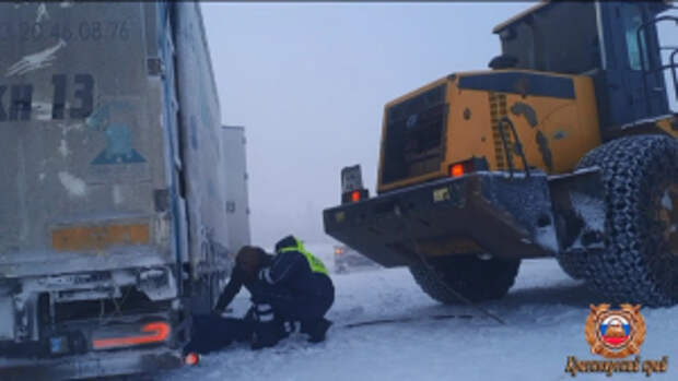 В Красноярском крае инспекторы ДПС помогли водителю фуры с живым грузом выбраться из снежного плена