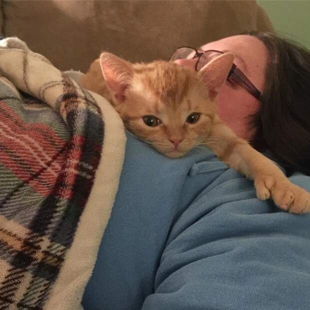 Котенок лежит Котенок лежит на женщине