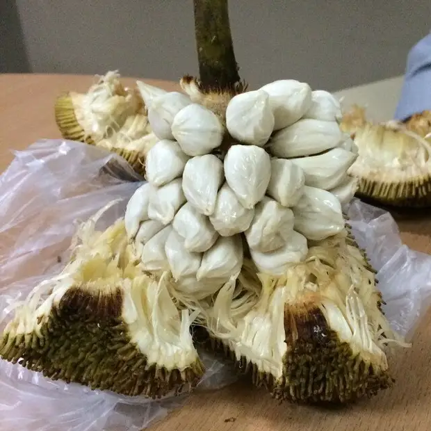 22 фрукта, которых многие никогда не пробовали