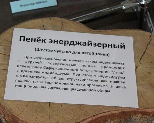 Пень энерджайзерный, или 20 оригинальных товаров от богов отечественного маркетинга