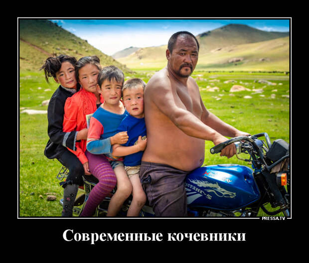 Демотиваторы