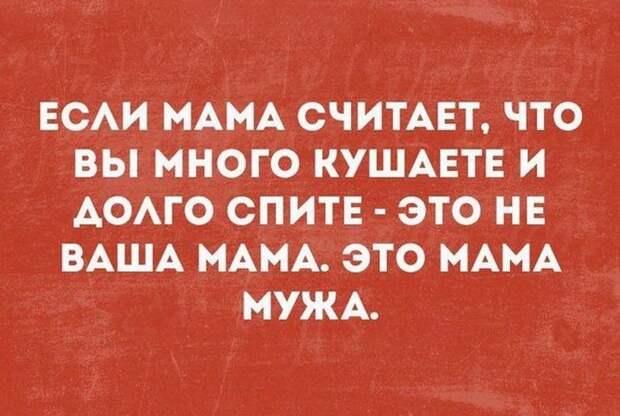 Подборка уморительных анекдотов