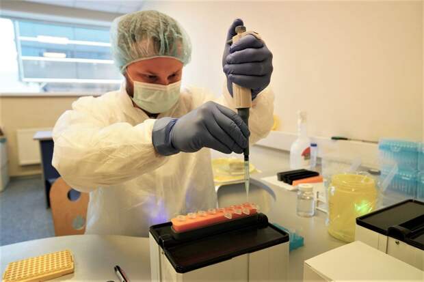 Роспотребнадзор не зафиксировал случаев завоза вируса Нипах в Россию