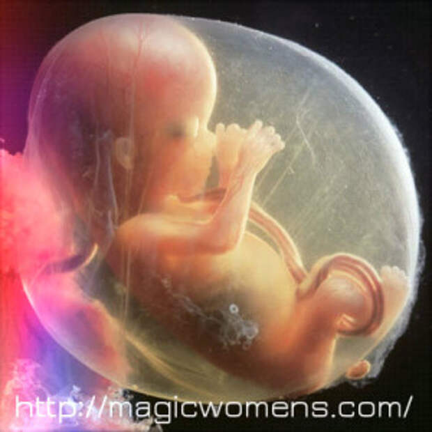родить или аборт 14 недель плод