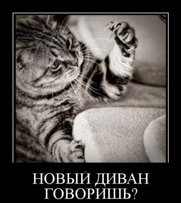 Прикольные демотиваторы (25 шт)