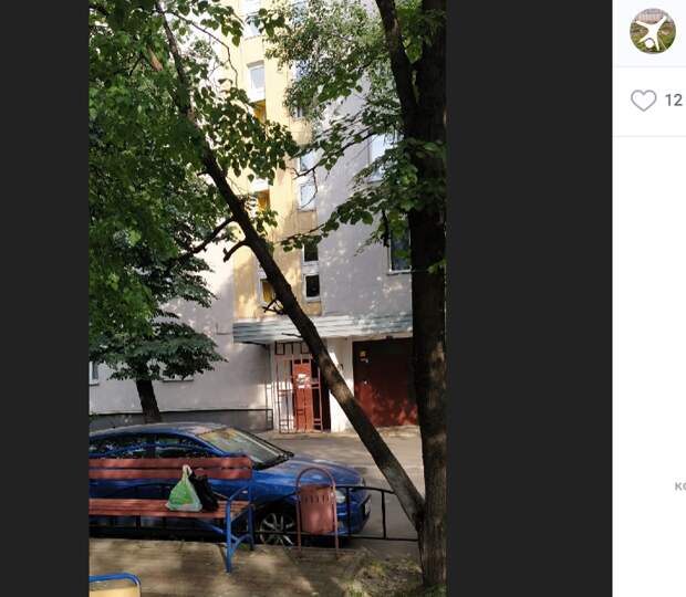 Во дворе на Подольской спилили угрожавшее рухнуть дерево
