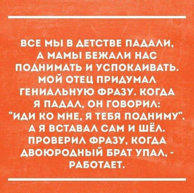 Реально смешные истории от пользователей Интернета – для вашей улыбки