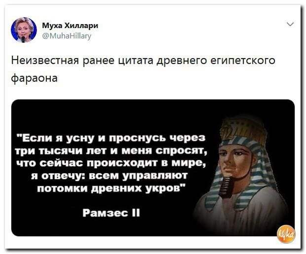 image?id=865035402521&t=3&plc=WEB&tkn=*h