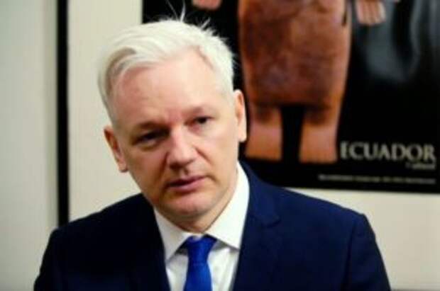 Мурал с изображением Джулиана Ассанжа создадут в Балашихе