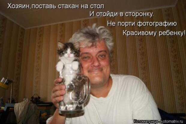 Котоматрицы(картинки с надписями)
