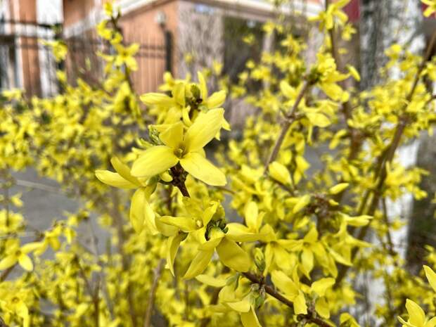Завтра столбик термометра в Астраханской области покажет +24 градуса