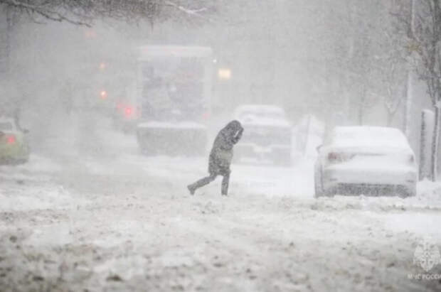 Число жертв снегопадов в Японии достигло 45