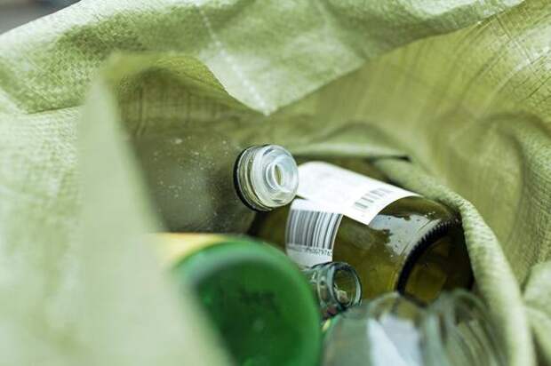 В Кингисеппском районе больше трети перевозчиков отходов нарушили правила