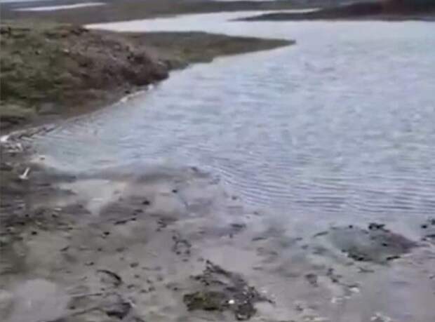 Конюхов за три месяца собрал 100 кг пластика на острове Смоленск в Антарктиде