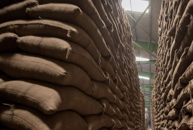 Ситуация с урожаем зерновых в Индии может привести к продовольственному кризису