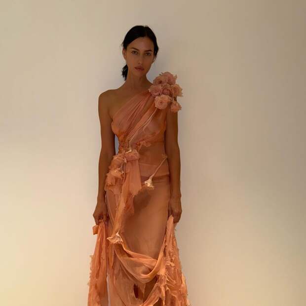 Ирина Шейк порадовала фанатов снимком в прозрачном платье