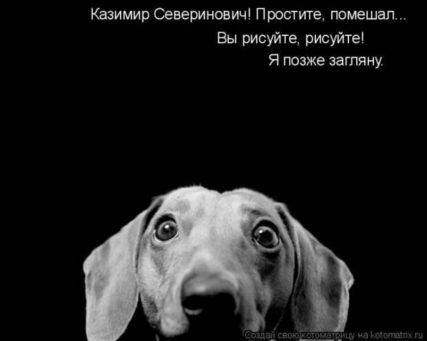 Мысли вслух :) 23 пушистые мыслишки