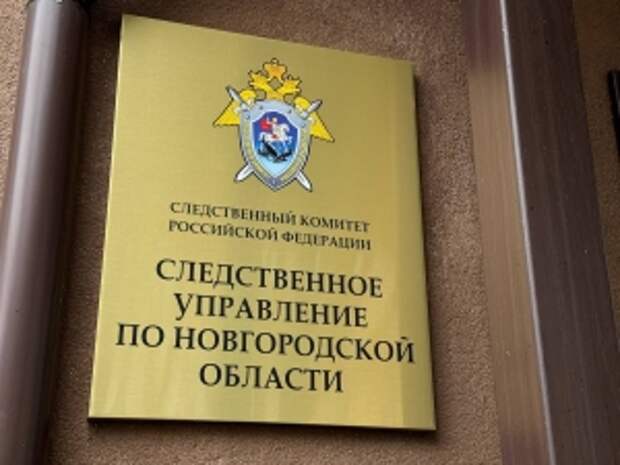 В Новгородской области вынесен приговор за убийство, совершенное более 20 лет назад