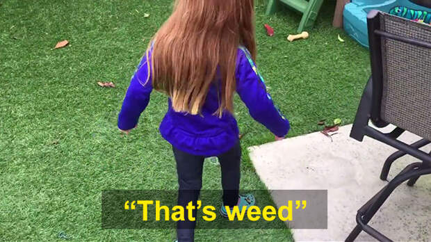 schoolgirl-tells-teacher-father-growing-weed-30