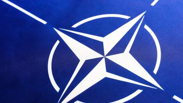 Президент Латвии: в НАТО думают над ответом России на «диверсии» Москвы