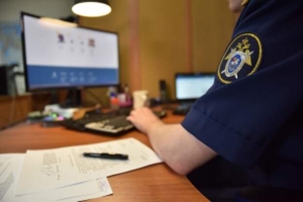 Главе ведомства будет представлен доклад о расследовании обстоятельств исчезновения ребенка 15 лет назад в Нижегородской области
