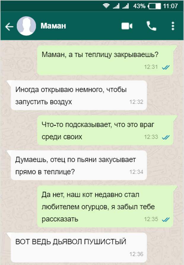 Час переписываться. Мастер переписок играть.